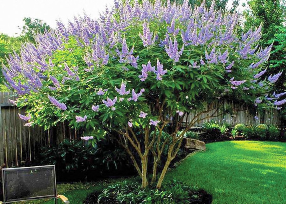 Ташкентская Венеция