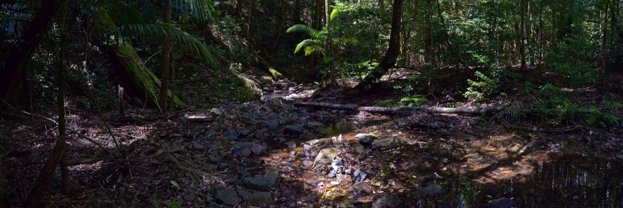 Never river австралия