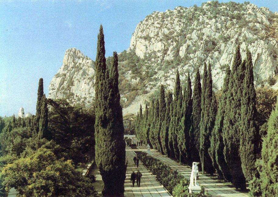 Кипарис Плакучий