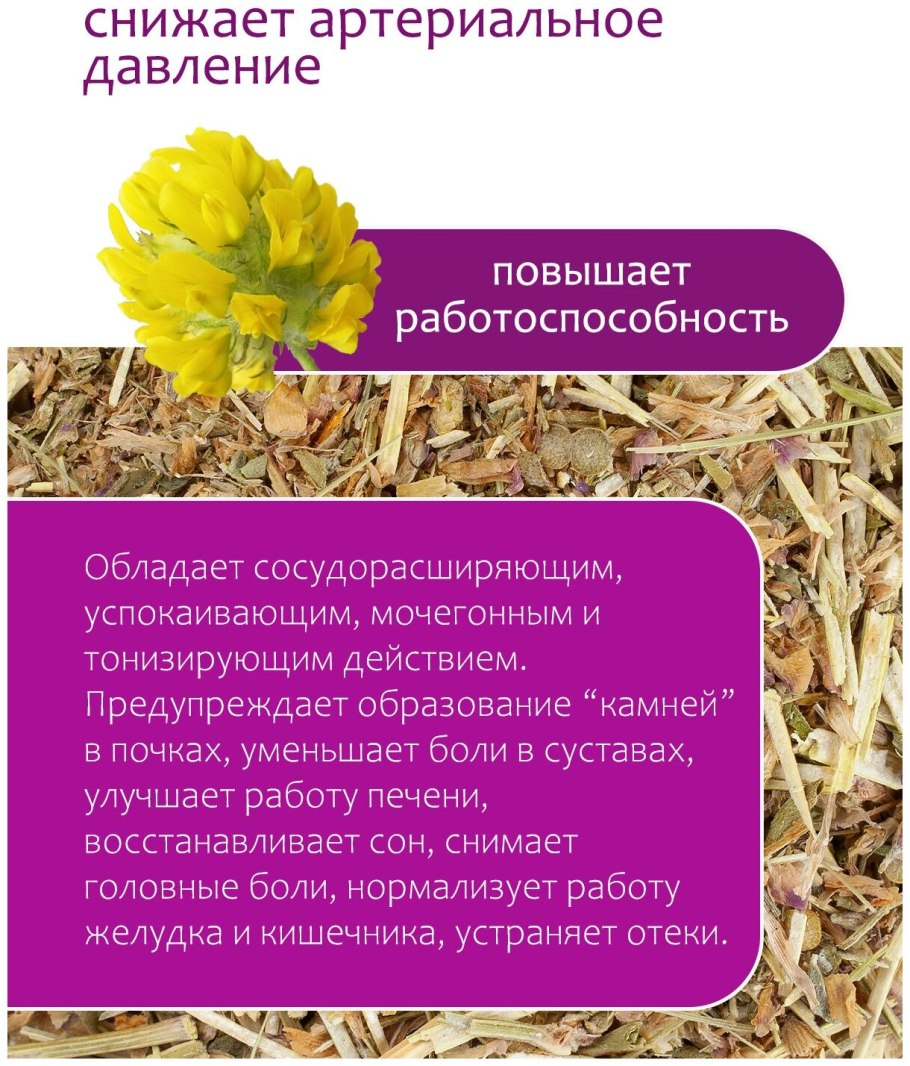 Астрагал повислоцветковый