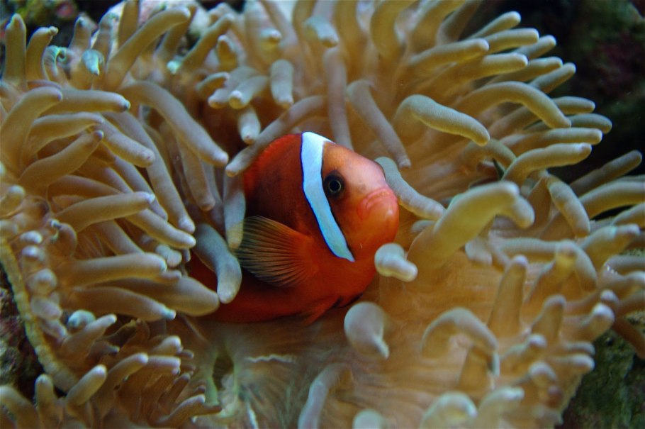 Обследование у офтальмолога