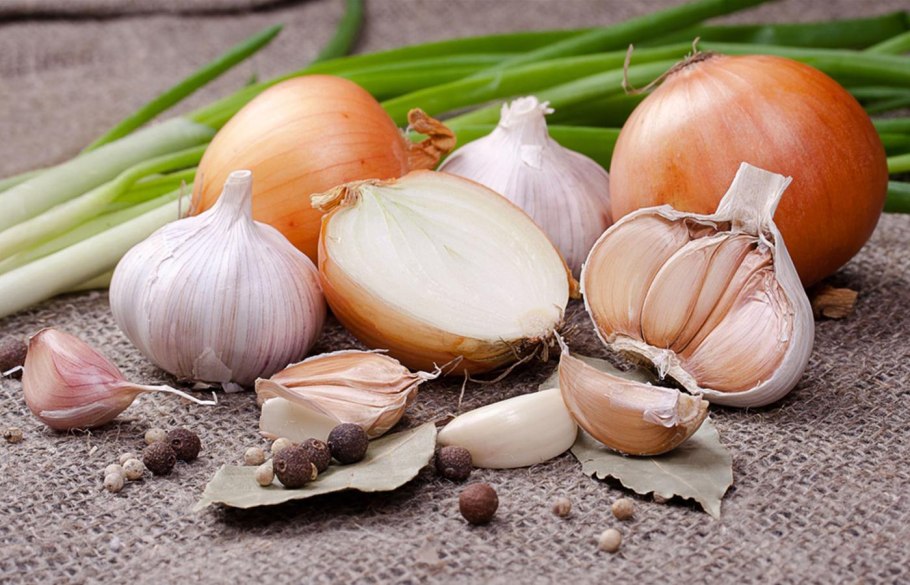 Лук шалот посадка