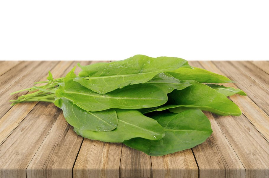 Щавель широколистный