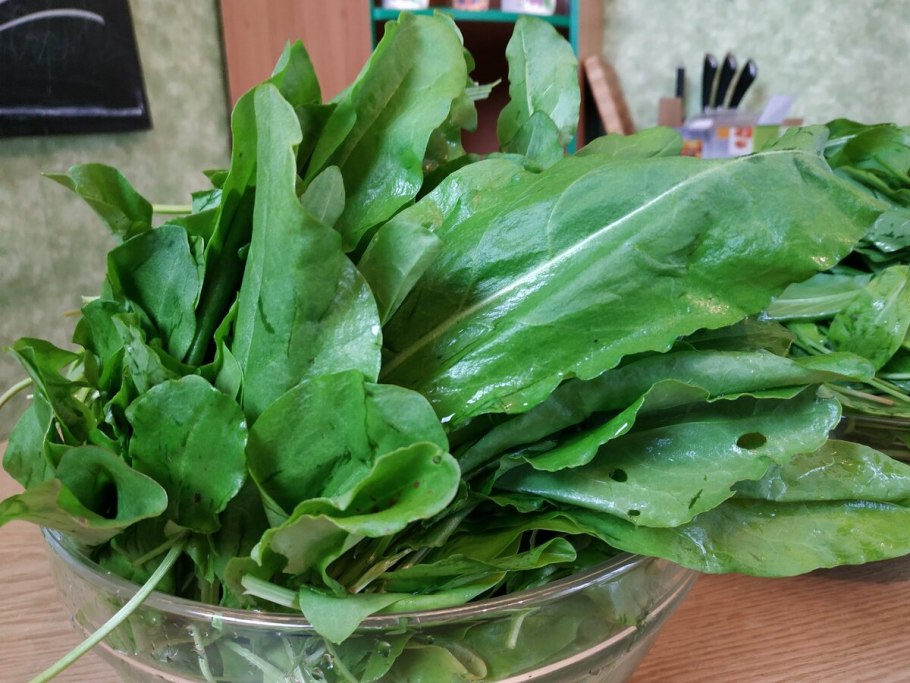 Щавель заморозка