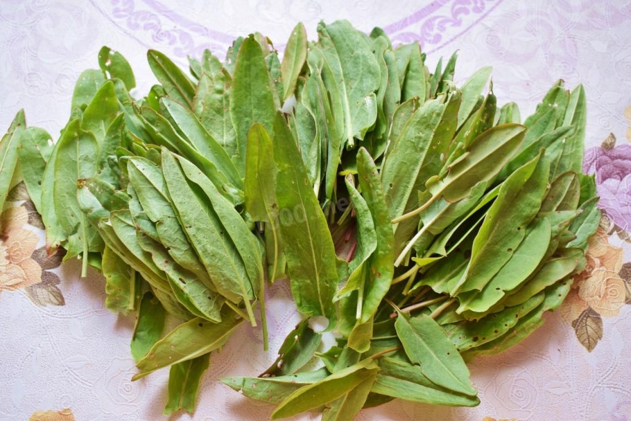 Щавель замороженный