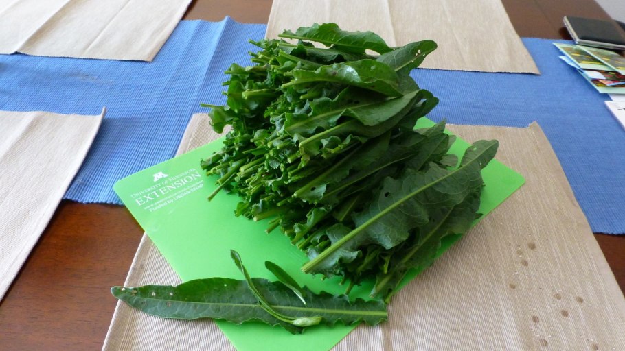 Конский щавель авелук