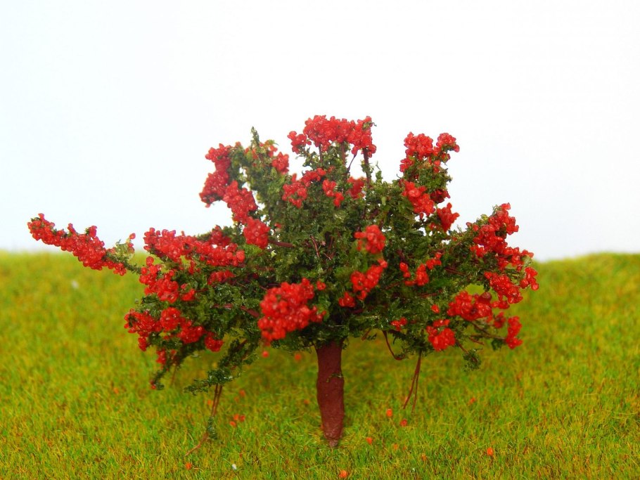 Аронник ягода