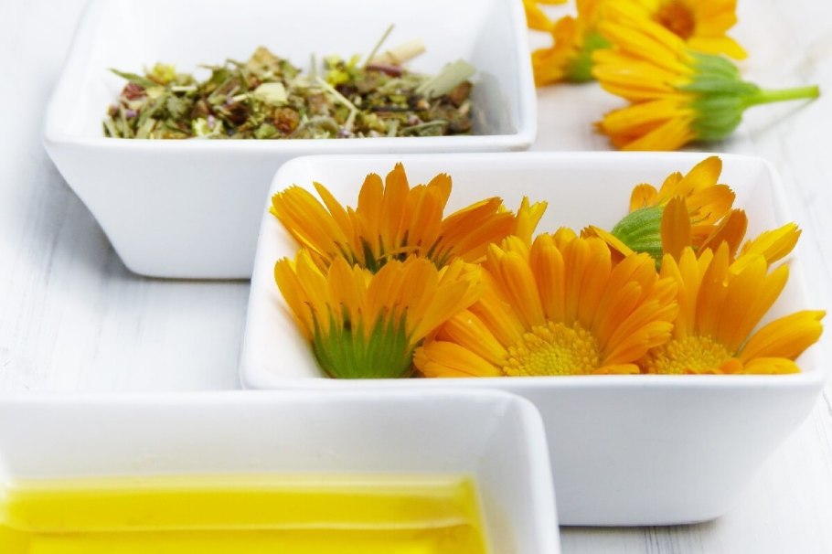 Календула лекарственная фитопрепараты