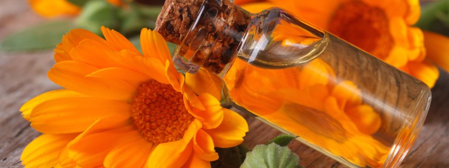 Оранжевый распускающийся цветок