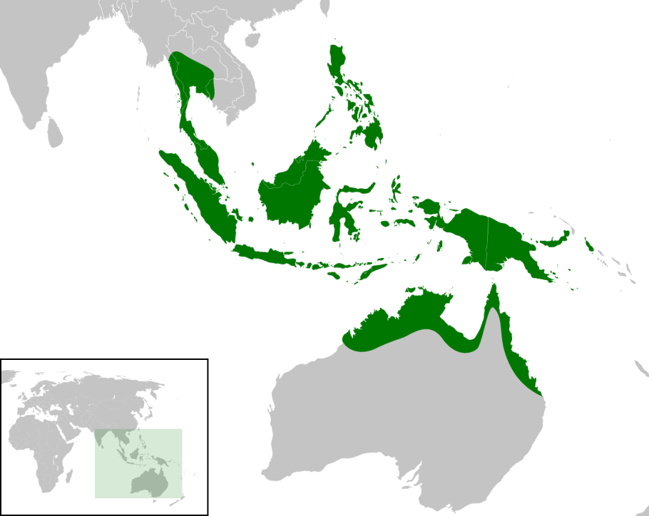 Сиамский крокодил ареал обитания