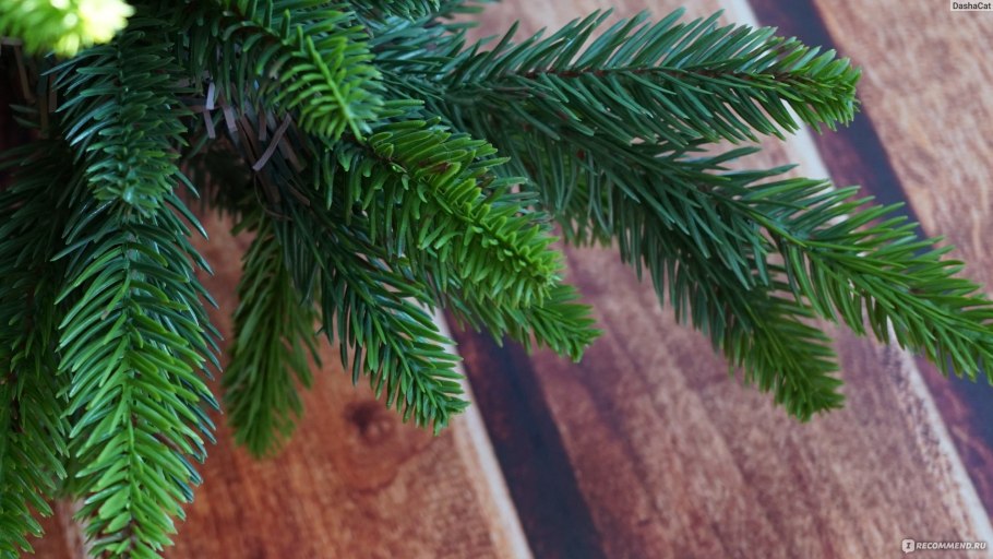 Ель искусственная beatrees dakota