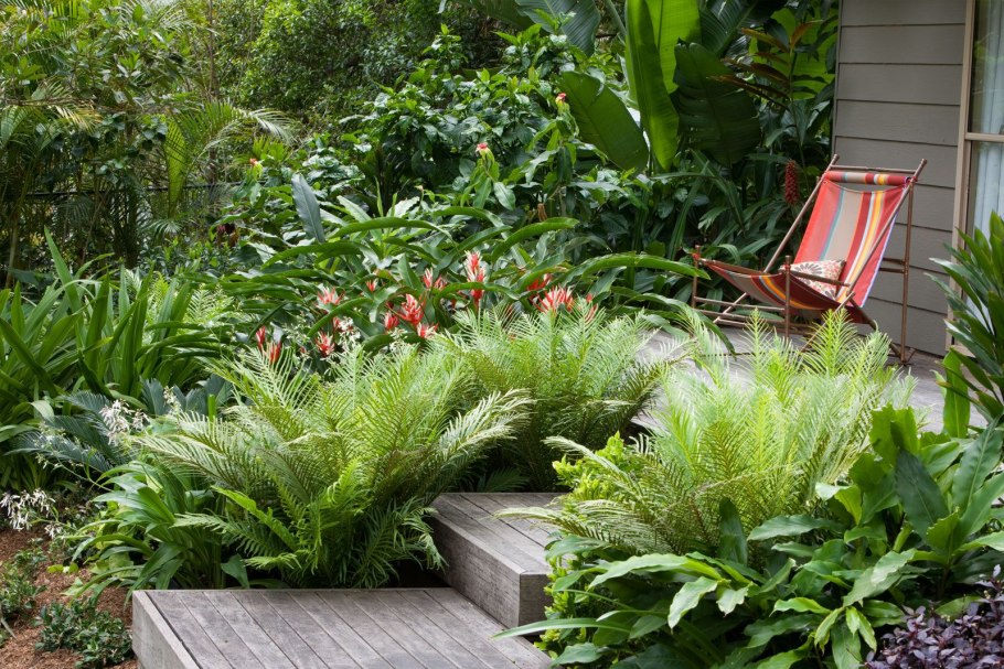 Страусник обыкновенный в ландшафтном дизайне