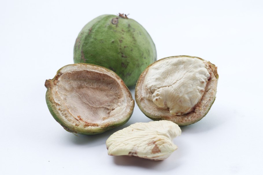 A Vegetable that Growes inside a Green Husk with Yellow Kernels inside