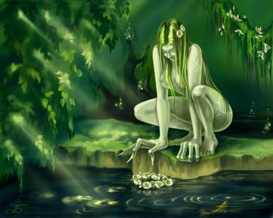 Болотница комнатное растение