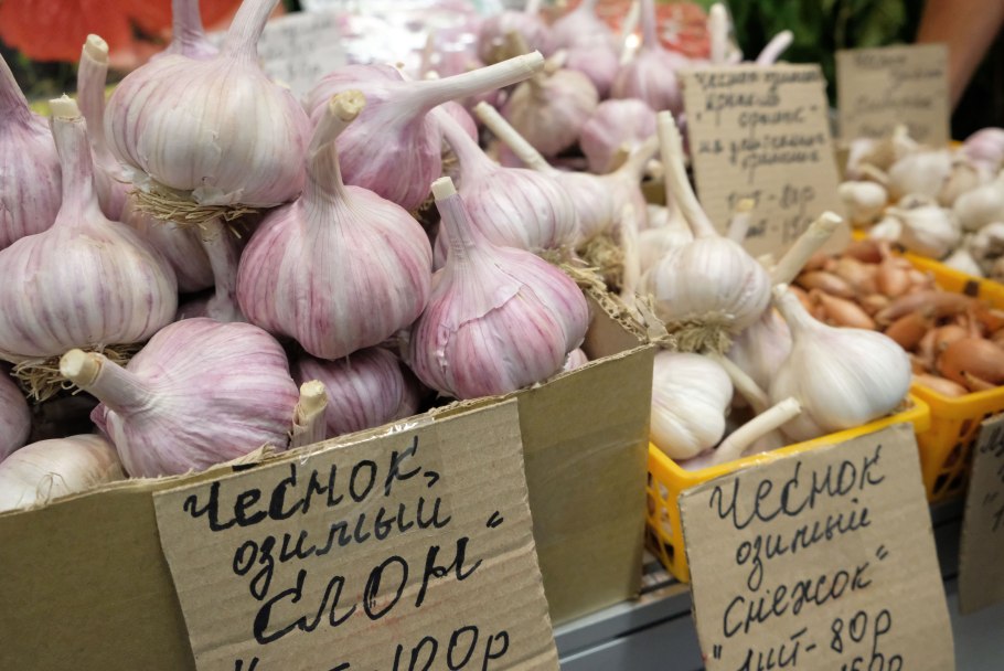 Dasha Komarova nipples