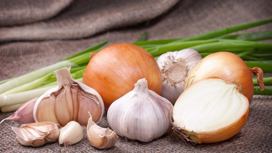 Лук шнитт (лук скорода)