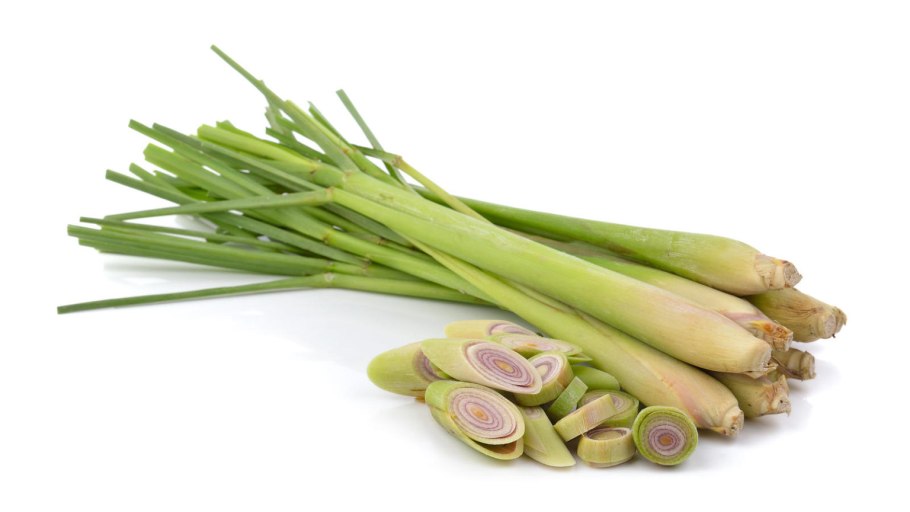 Трава Лемонграсс