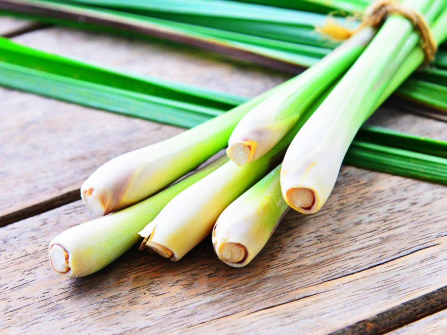 Цитронелла трава