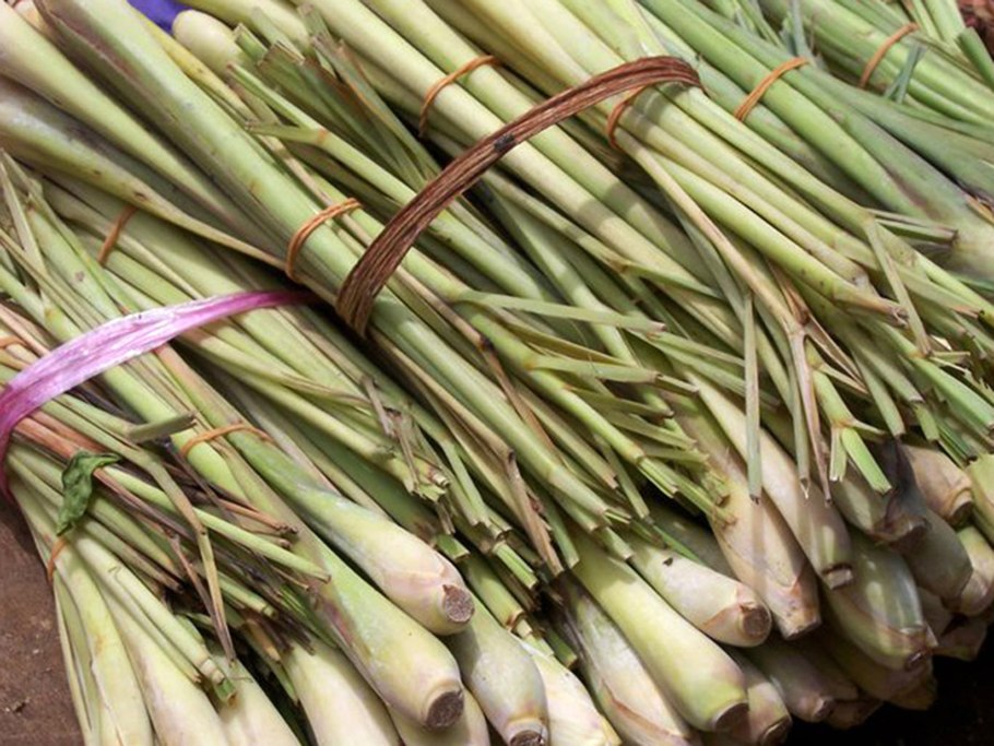 Цимбопогон Лемонграсс