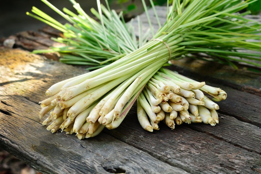 Лимонное сорго (Lemongrass)
