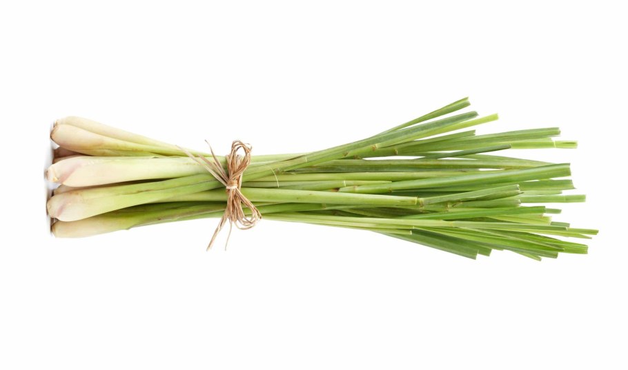 Трава Лемонграсс