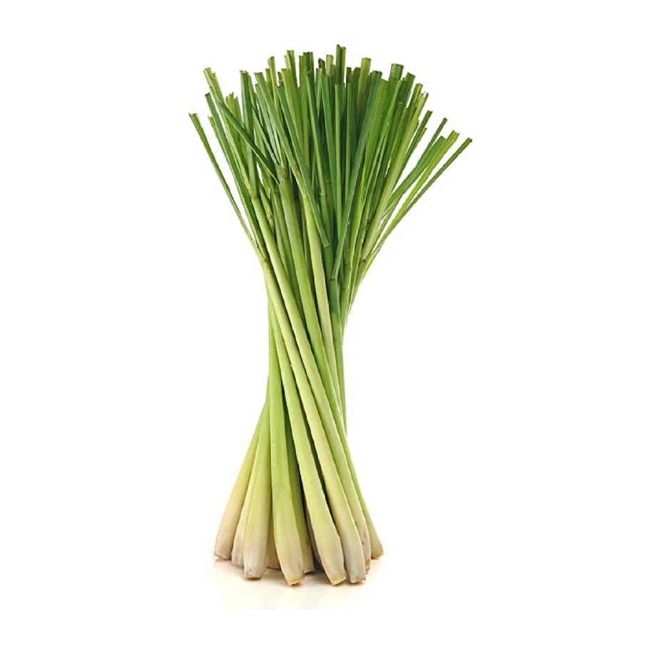 Лемонграсс лимонная трава