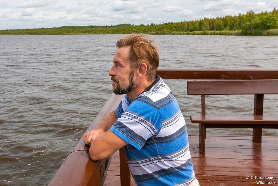 Гриб болотник съедобный