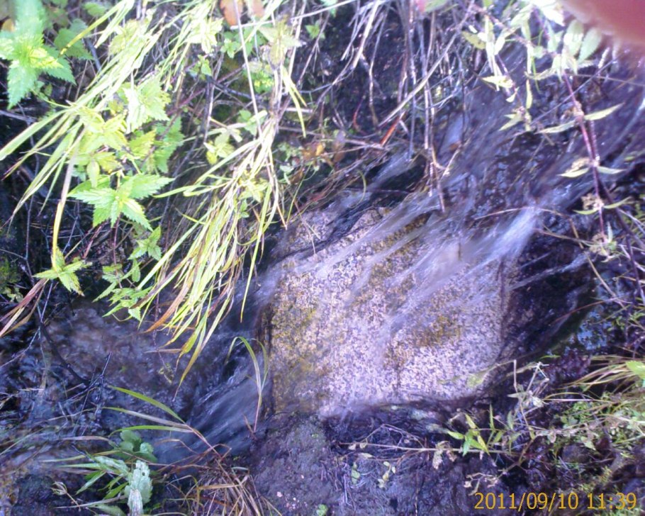 Мистические существа Борис горох