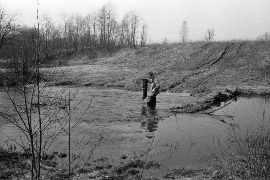 Деревья на болоте