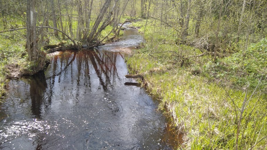 Река пруженка московская область