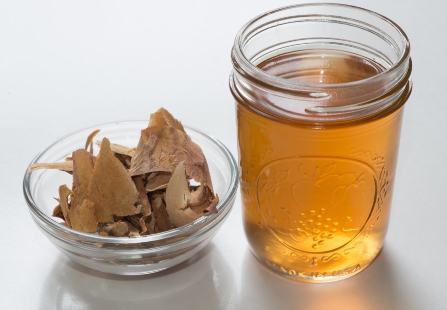 Отвар дубовой коры