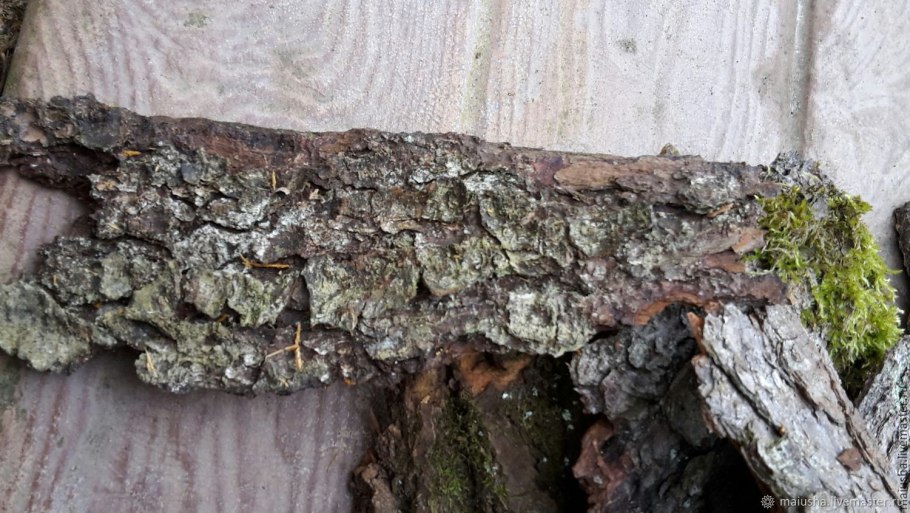 Березово-Осиновая колка