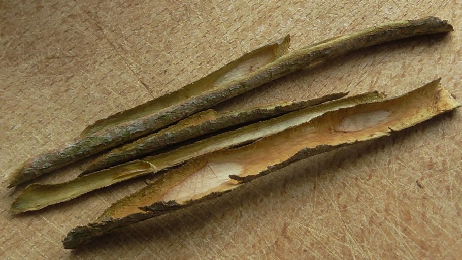 Калина обыкновенная кора сырье