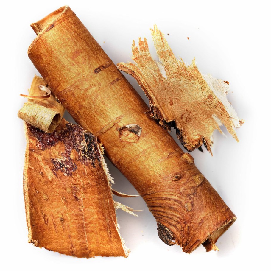 Кора дерева