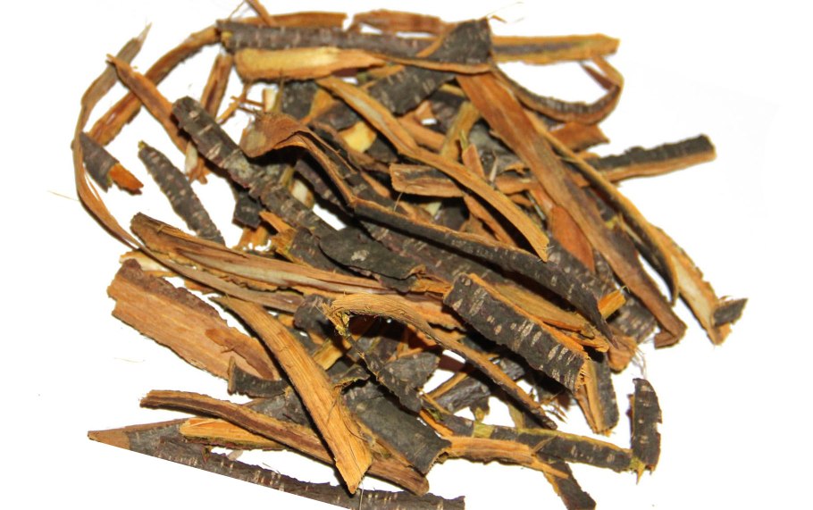 Крушина кора лечебные