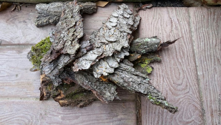 Березово-Осиновая колка