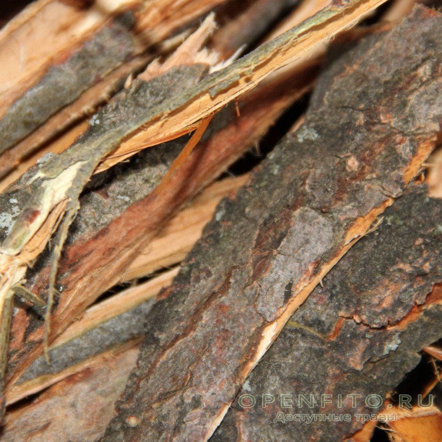 Саликс кора ивы