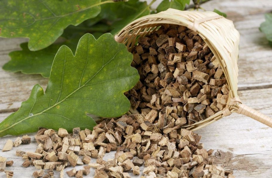 Щавель конский лекарственные препараты