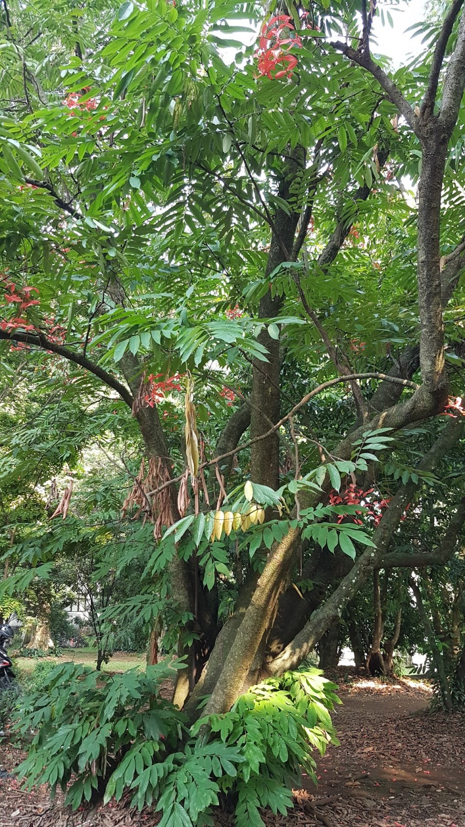 Галерея Марианны Норт