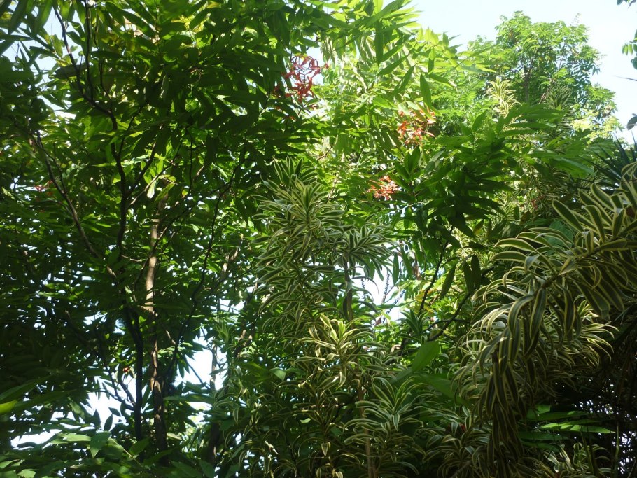 Хеллман Холл поместье