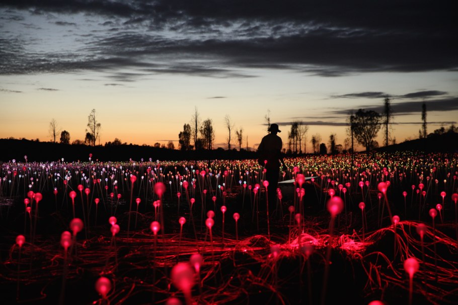 Field of light инсталляция брюс