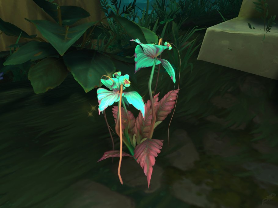 Гробоцвет малефисента