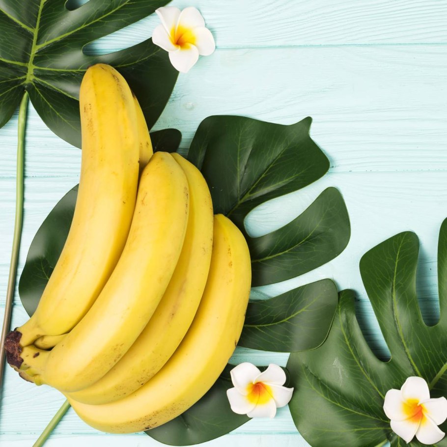 Банзай банановое дерево