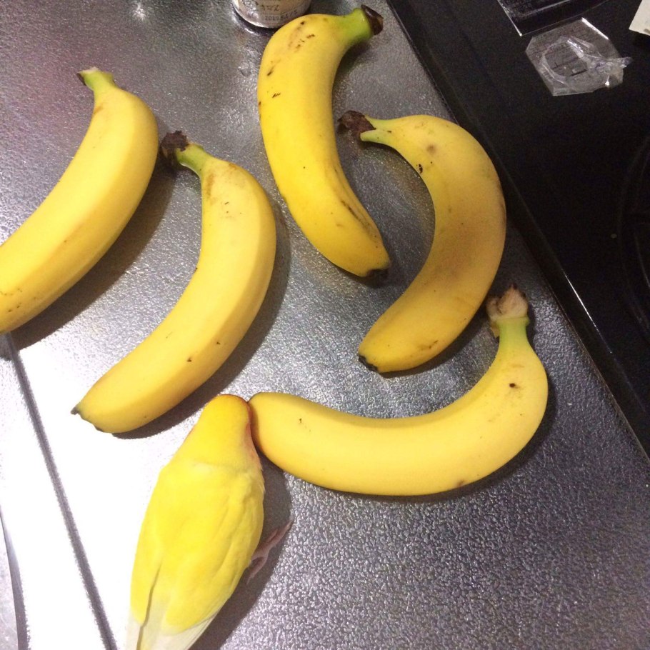 Киевский карликовый банан