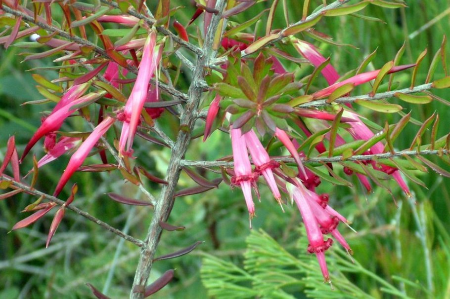 Алюминий 0881 pe