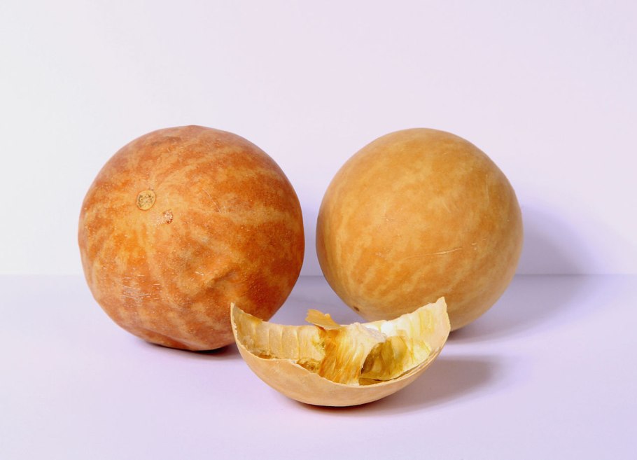 Дыня колхозница