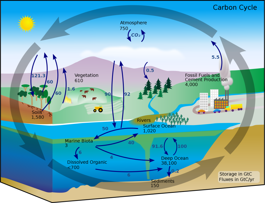 Energy Cycle