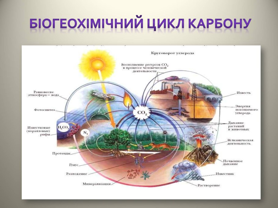 Круговорот веществ углекислого газа