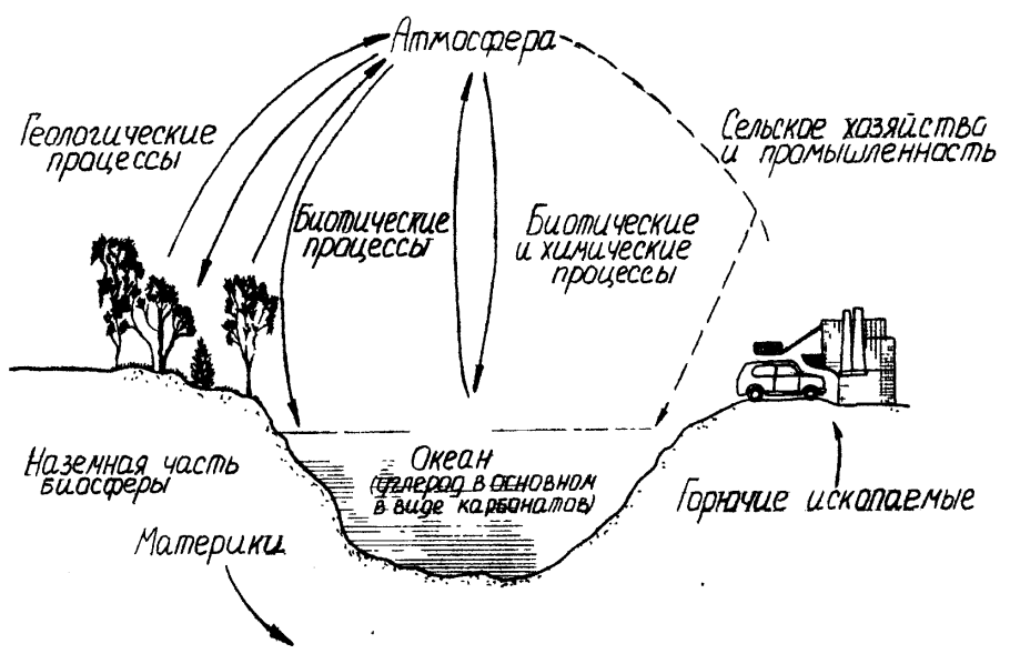 Круговорот азота