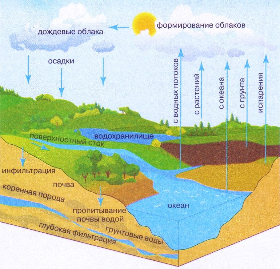 Модель эвтрофикации (Aertebjerg et al., 2003).